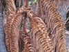 kona_day_3_060