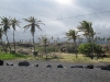 kona_day_3_078