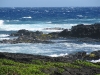 kona_day_3_090