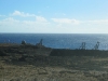 kona_day_3_104