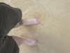 more_hawaii_043