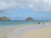 more_hawaii_050